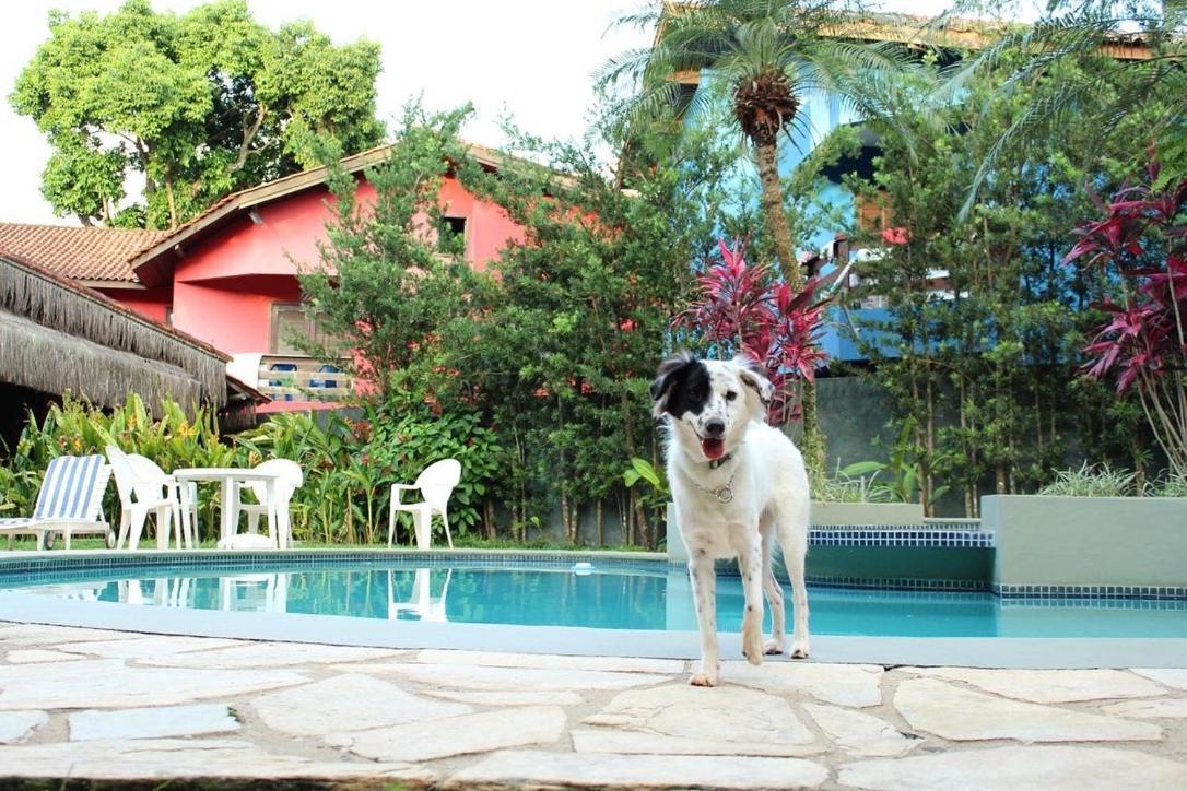 Pousada North Shore Maresias - 2 Quadras Da Praia - Casas De 2 Quartos - 80 M2 -2 Banheiros -Piscina Sauna - Estacion-Churrasq Privativa -Wifi Animais De Peq Porte Roupa De Cama E Banho ภายนอก รูปภาพ